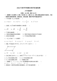 广西壮族自治区贺州市昭平县2021-2022学年八年级下学期期末数学试题(word版含答案)