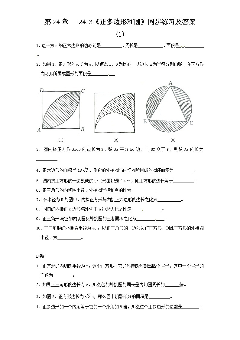 24.3 正多边形和圆(1) 同步练习 含答案01