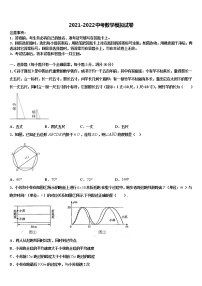 2022年黑龙江省大兴安岭地区名校中考数学对点突破模拟试卷含解析