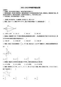 2022年湖北省枣阳市实验中学中考试题猜想数学试卷含解析