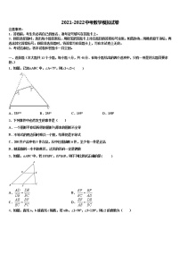 2022年安徽省宿州十一中学中考一模数学试题含解析