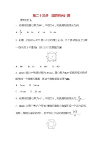2022年广西桂林中考数学复习训练：第23讲 圆的有关计算(含答案)