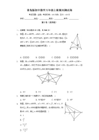 青岛版初中数学八年级上册期末测试卷（困难）（含答案解析）