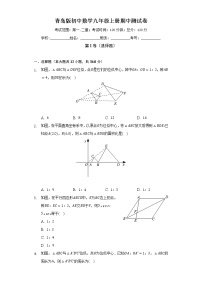 青岛版初中数学九年级上册期中测试卷（较易）（含答案解析）