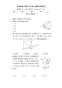 青岛版初中数学九年级上册期中测试卷（困难）（含答案解析）