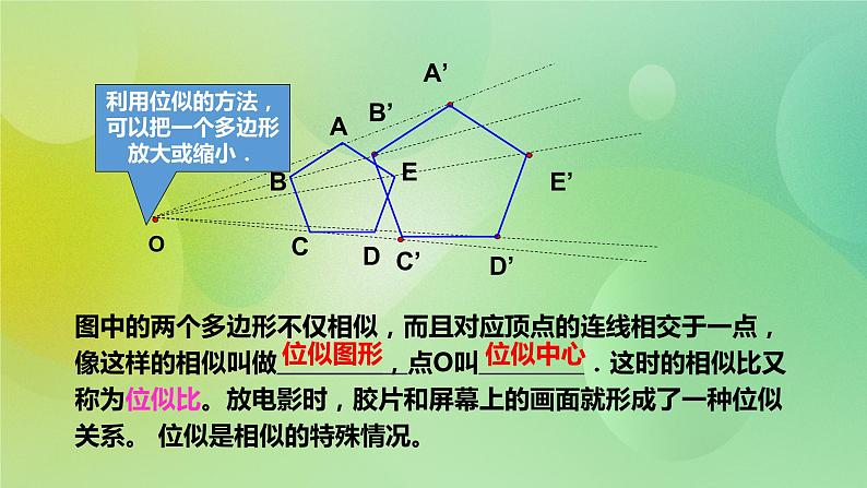 华师大版9上数学 23.5 位似图形 课件06