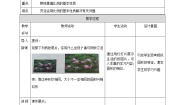 华师大版九年级上册1. 成比例线段精品教案设计