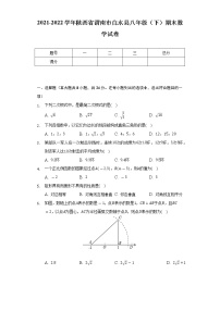 2021-2022学年陕西省渭南市白水县八年级（下）期末数学试卷（Word解析版）