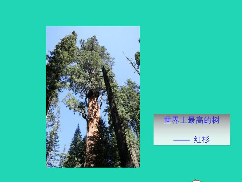 2022九年级数学上册第23章图形的相似23.3相似三角形第5课时课件新版华东师大版05