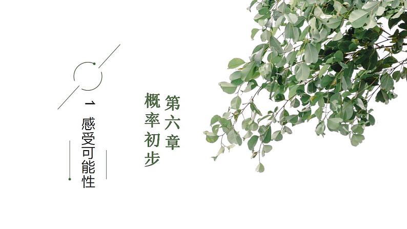 6.1+感受可能性 课件 2021—2022学年北师大版数学七年级下册第1页