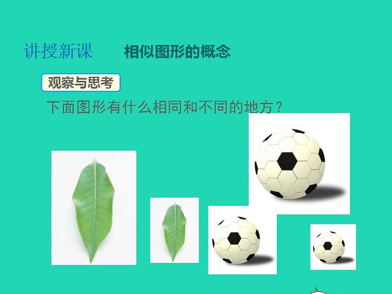 2022九年级数学上册第22章相似形22.1比例线段第1课时相似图形课件新版沪科版第5页