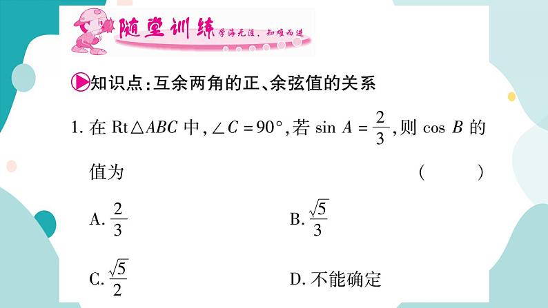 23.1.4 互余两角的正、余弦值得关系(课件ppt)九年级上册数学教辅作业(沪科版)第3页