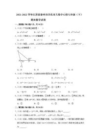 江苏省泰州市兴化市大垛中心校2021-2022学年七年级下学期期末数学试卷(word版含答案)