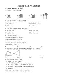 山东省威海文登区三校2021-2022学年七年级上学期期中联考数学试题(word版含答案)