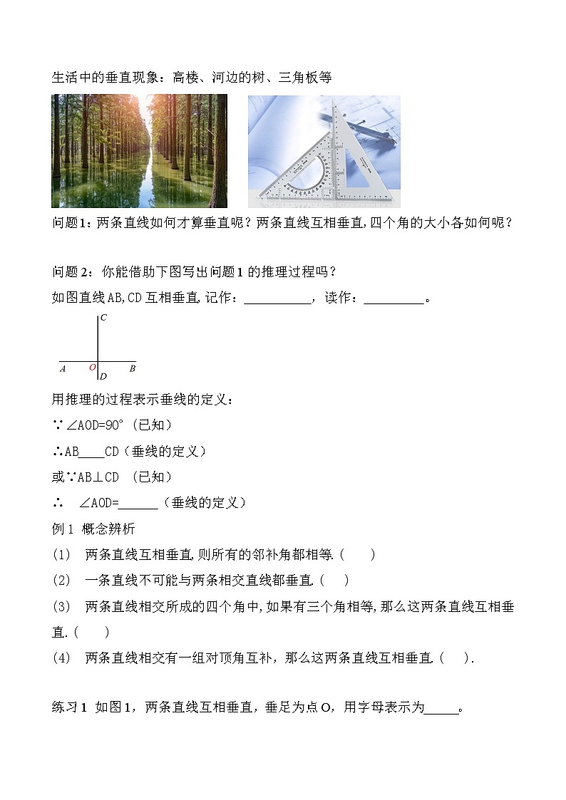 第五章相交线平行线5.1相交线 5.12垂线第2页
