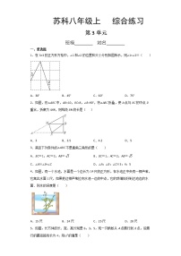 苏科版八年级上册第三章 勾股定理综合与测试当堂达标检测题