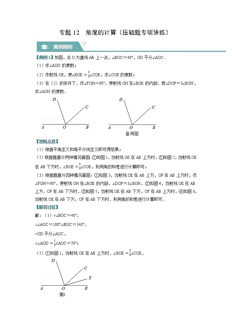 专题12 角度的计算(压轴题专项讲练)(苏科版)(原卷版)第1页