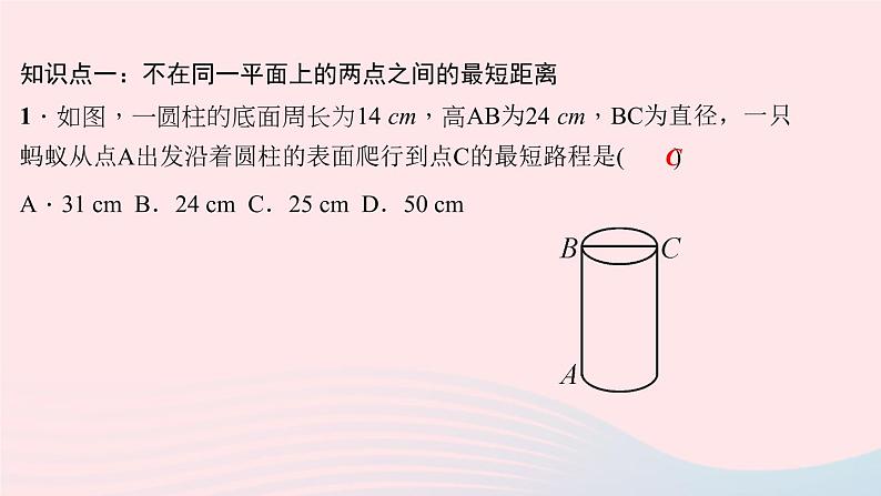 数学华东师大版八年级上册同步教学课件第14章勾股定理14.2勾股定理的应用第1课时勾股定理的实际应用作业06