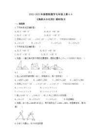 2021学年6.6 角的大小比较精品测试题