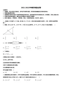 广东省深圳市龙华区2022年中考数学押题卷含解析