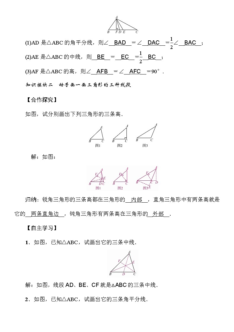 2.1 第2课时 三角形的高、角平分线和中线 湘教版八年级上册数学导学案02