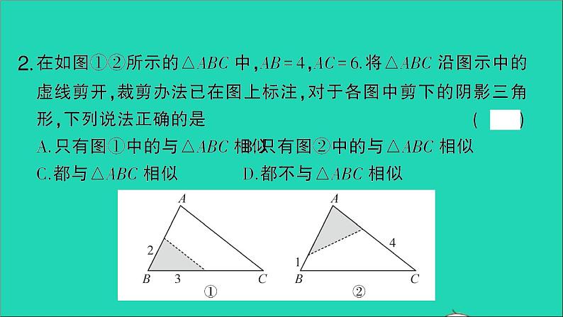 数学人教版九年级下册同步教学课件第27章相似27.2相似三角形27.2.1相似三角形的判定第3课时相似三角形的判定3作业第3页
