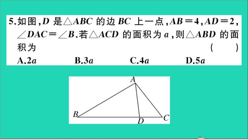 数学沪科版九年级上册同步教学课件阶段综合训练五相似三角形的性质应用及位似变换作业06
