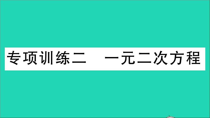 数学华东师大版九年级下册同步教学课件复习专项训练2一元二次方程作业第1页