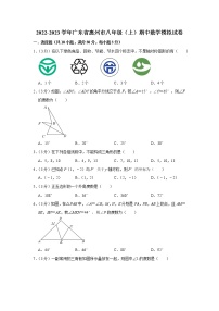 2022-2023学年广东省惠州市八年级（上）期中数学模拟试卷
