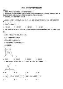 湖南省岳阳县联考2022年中考数学对点突破模拟试卷含解析