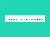 初中数学4.2 概率及其计算习题ppt课件