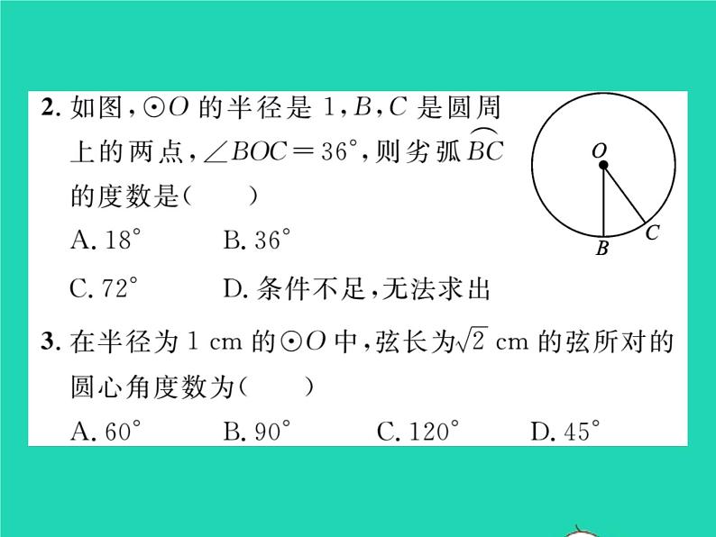 2022九年级数学下册第24章圆24.2圆的基本性质第3课时圆心角弧弦弦心距间关系习题课件新版沪科版第3页