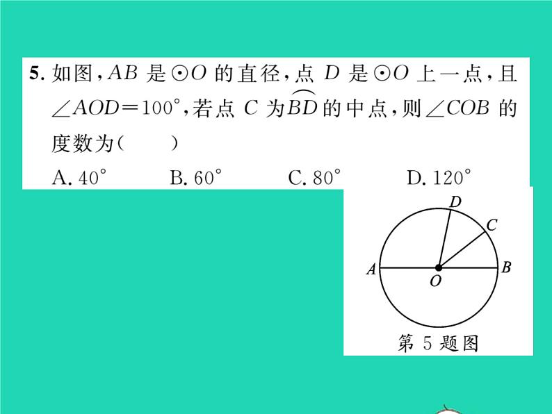 2022九年级数学下册第24章圆24.2圆的基本性质第3课时圆心角弧弦弦心距间关系习题课件新版沪科版第5页