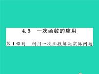 湘教版八年级下册4.5 一次函数的应用习题课件ppt