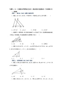 专题1.33 三角形全等判定方法3-角边角与角角边（专项练习）-2022-2023学年八年级数学上册基础知识专项讲练（浙教版）