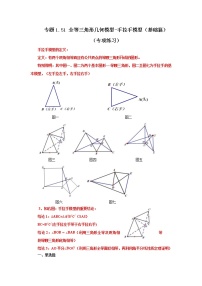 专题1.51 全等三角形几何模型-手拉手模型（基础篇）（专项练习）-2022-2023学年八年级数学上册基础知识专项讲练（浙教版）