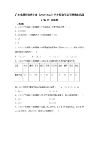 广东省揭阳市普宁市（2020-2022）八年级数学上学期期末试题汇编 3选择题