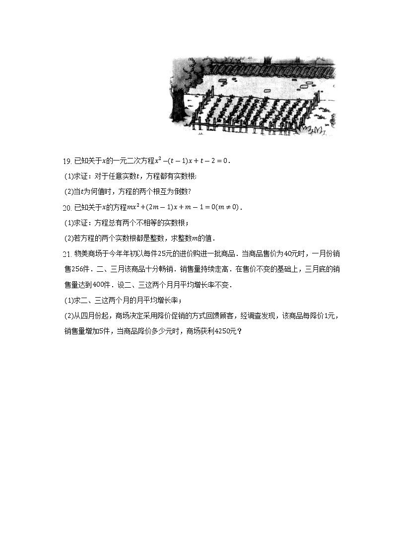 广西钦州市第四中学2022-2023学年九年级上学期9月考数学试卷(含答案)第3页