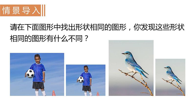 北师大版九年级数学上册课件 4.1.1 线段的比与成比例线段第2页