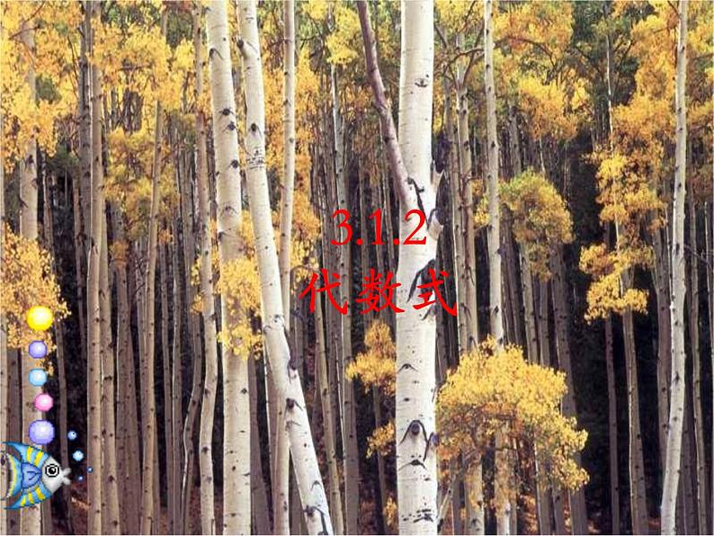 初中数学华东师大版七年级上册 第三章 3.1.2 代数式 课件01