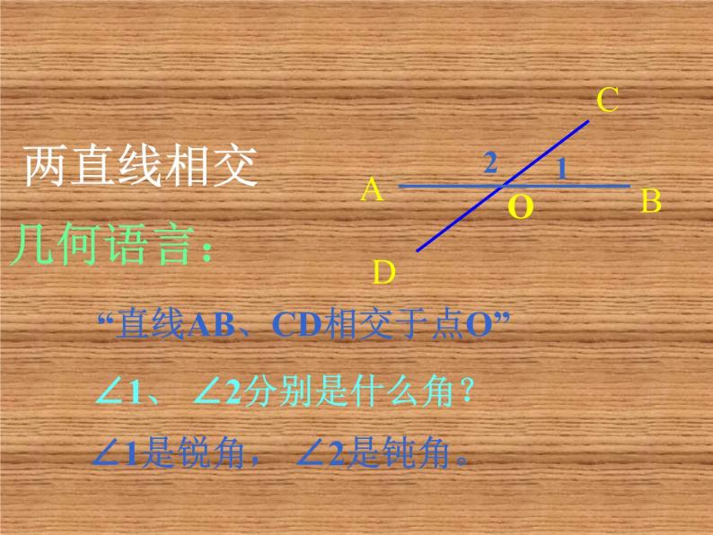 初中数学华东师大版七年级上册 第五章 5.1.2 垂线 课件03