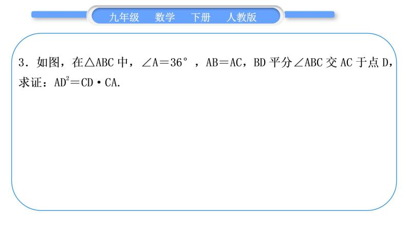 人教版九年级数学下第二十七章相似27.2相似三角形知能素养小专题(七)　相似三角形的基本模型习题课件05