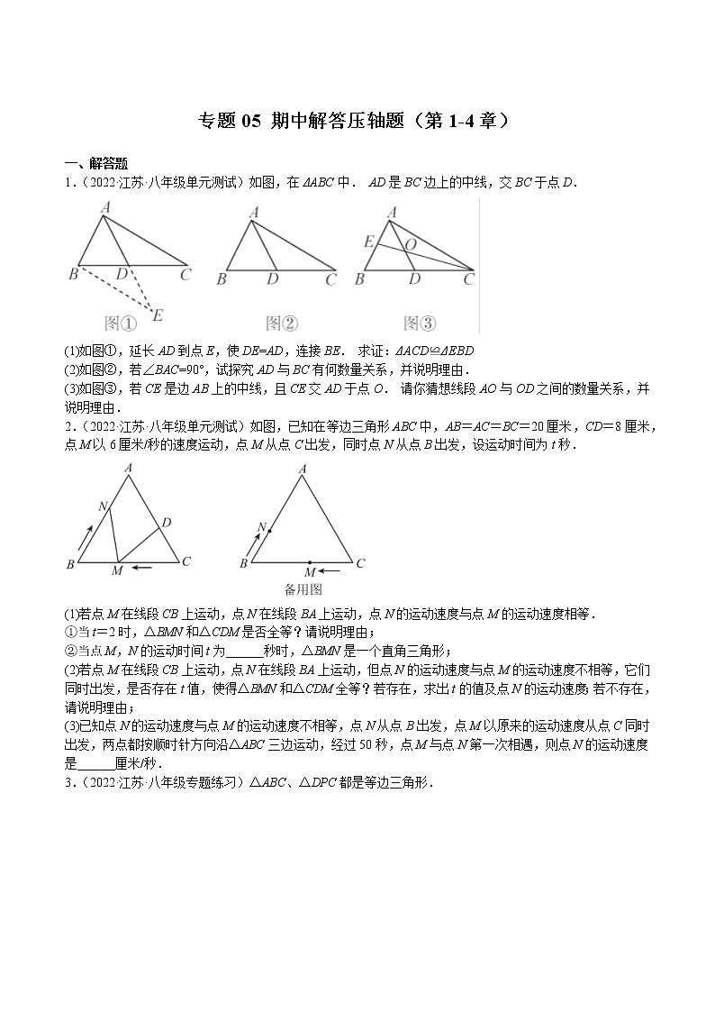 2022-2023学年八年级数学上学期期中分类复习专题05 期中解答压轴题第1页