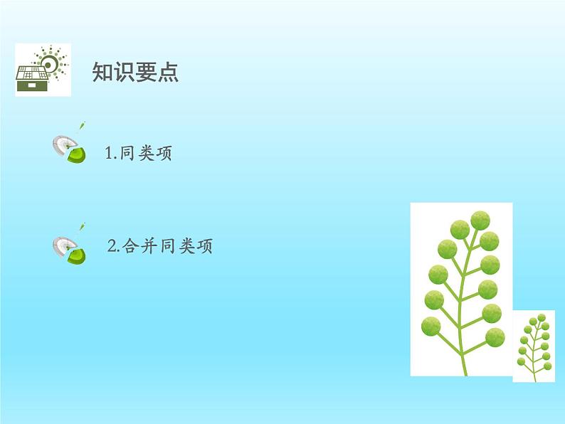 2022七年级数学上册第三章整式及其加减3.4整式的加减第1课时合并同类项课件(北师大版)第2页