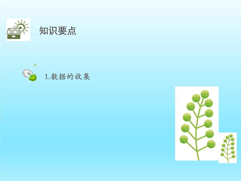 2022七年级数学上册第六章数据的收集与整理6.1数据的收集课件(北师大版)02