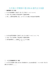 九年级上学期期中【压轴60题考点专练】（九上全部内容）-2022-2023学年九年级数学上学期期中期末考点大串讲（北师大版）