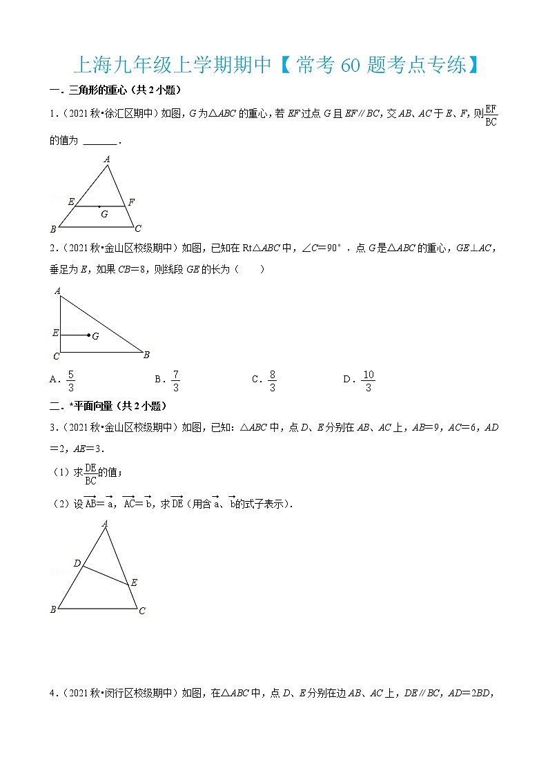 上海九年级上学期期中【常考60题考点专练】-2022-2023学年九年级数学上学期期中期末考点大串讲(沪教版)01