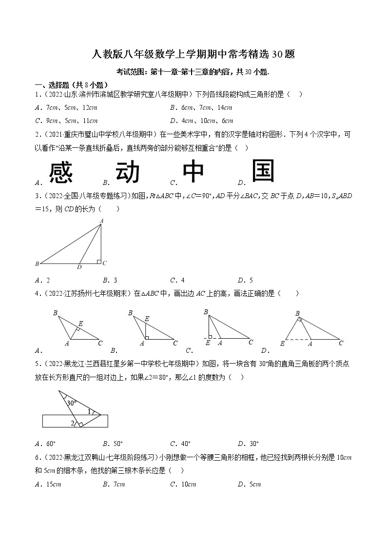 2022-2023学年人教版数学八年级上册考点大串讲  人教版八年级数学上学期期中常考精选30题01