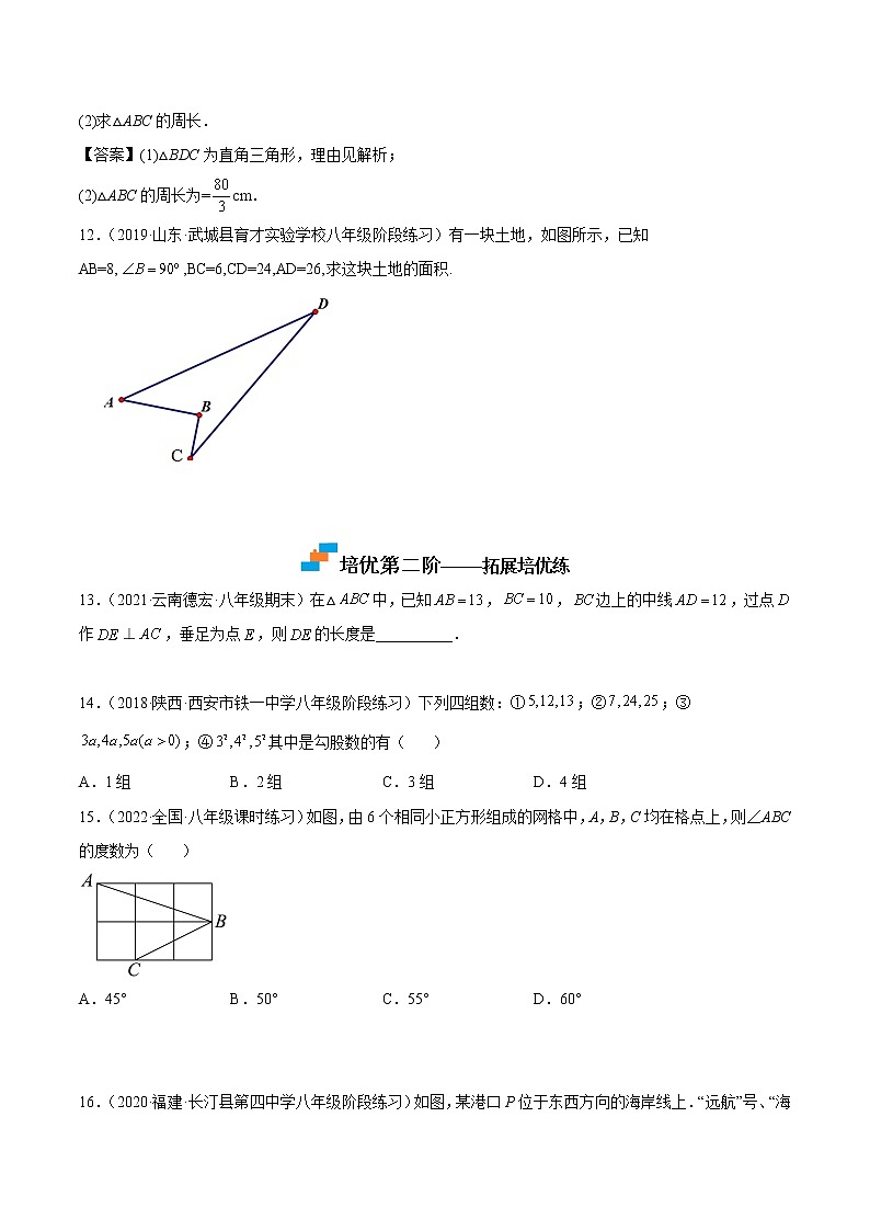 【培优分级练】北师大版数学八年级上册 1.2《一定是直角三角形吗》培优三阶练(原卷版)第3页