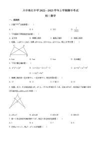 广东省广州市六中珠江中学 2022—2023学年八年级上学期期中考试 数学试题(含答案)
